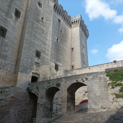 Guided tour in Tarascon – 2 hours