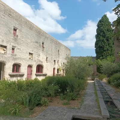 Guided tour in Tarascon – 2 hours