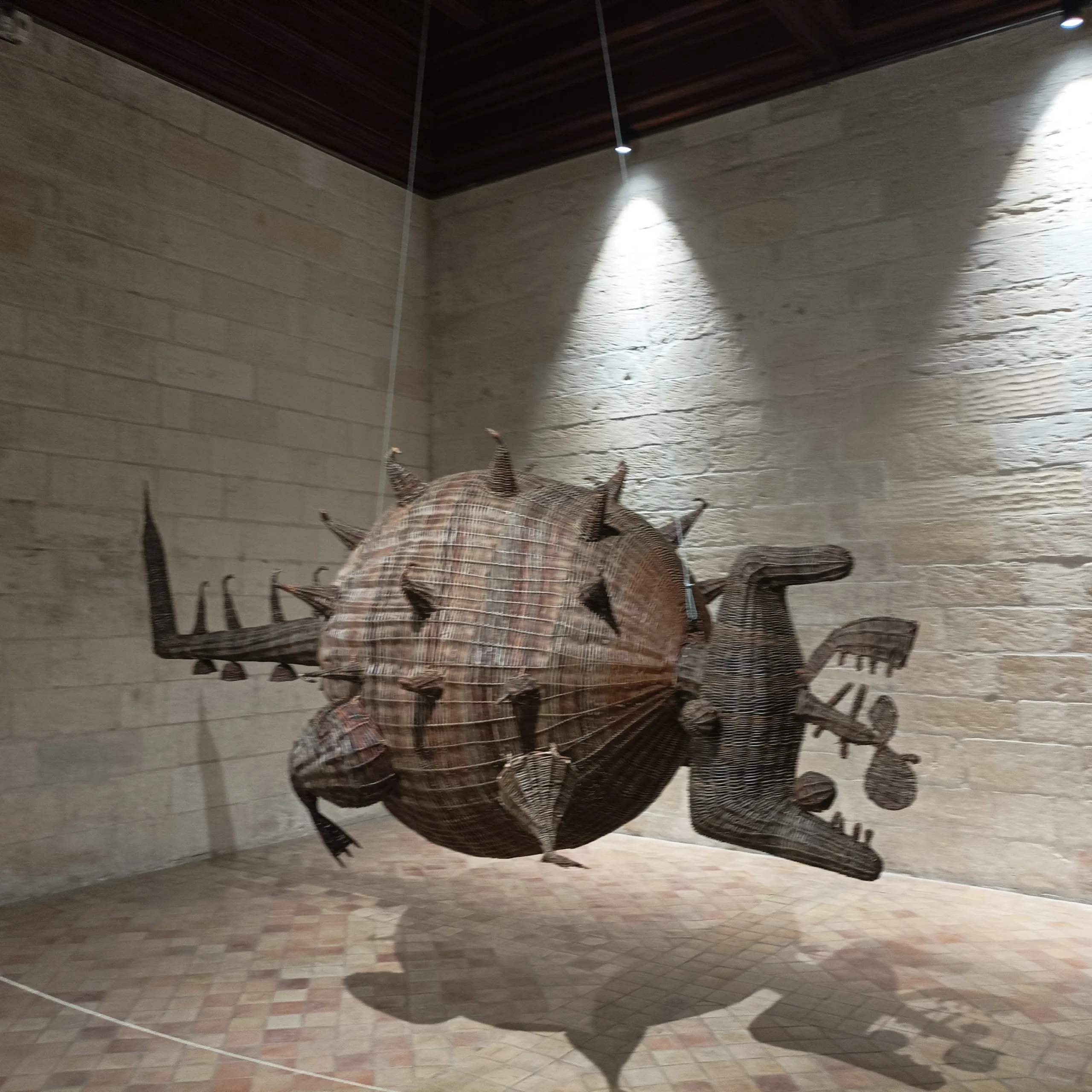 Guided tour in Tarascon